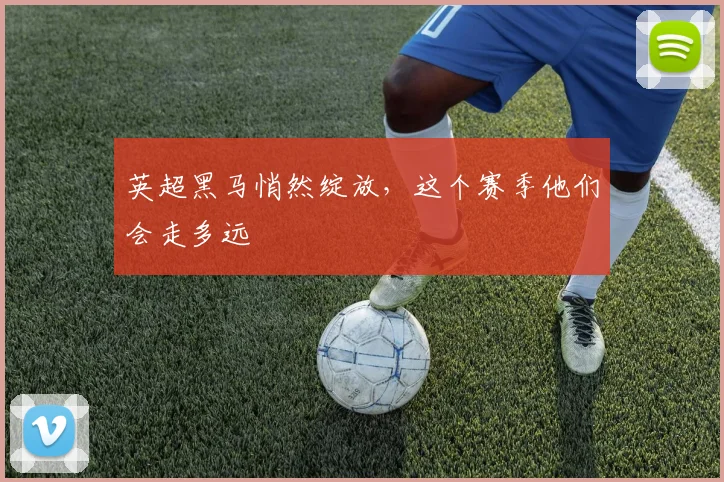 英超黑马悄然绽放，这个赛季他们会走多远