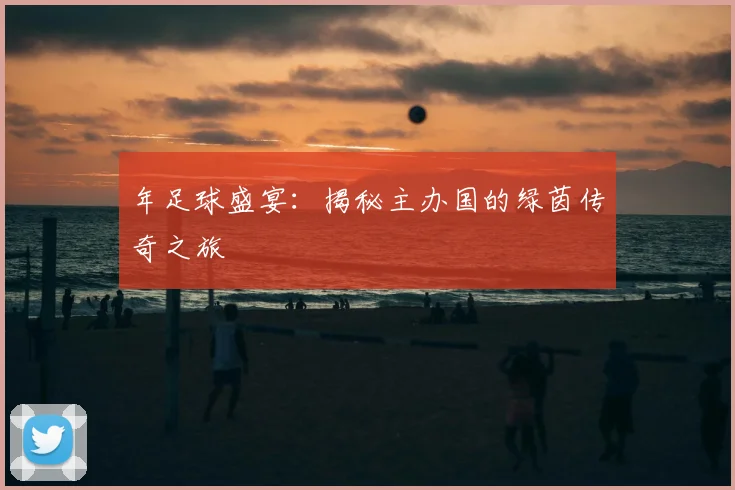 年足球盛宴:揭秘主办国的绿茵传奇之旅